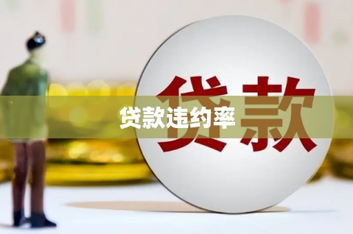 汝南贷款违约率