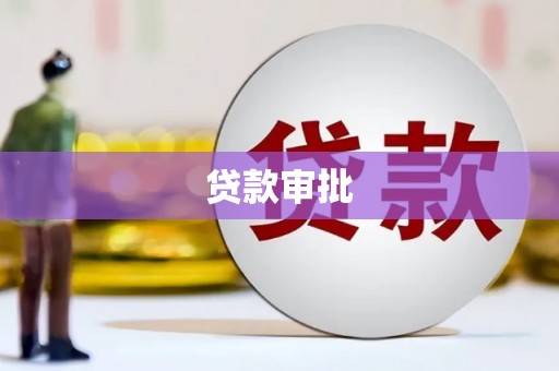 汝南贷款审批
