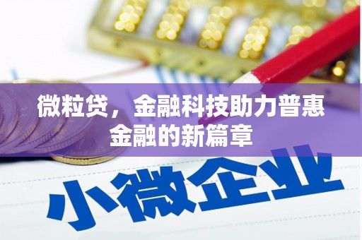 汝南微粒贷，金融科技助力普惠金融的新篇章