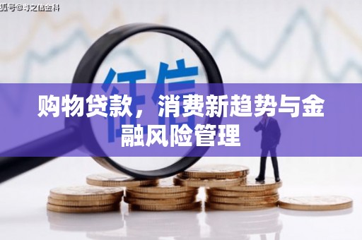 汝南购物贷款，消费新趋势与金融风险管理