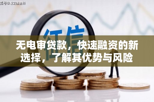汝南无电审贷款，快速融资的新选择，了解其优势与风险
