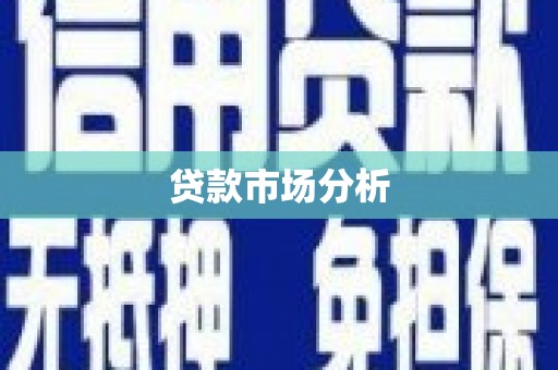 汝南贷款市场分析