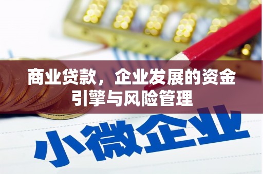 汝南商业贷款，企业发展的资金引擎与风险管理