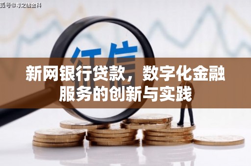 汝南新网银行贷款，数字化金融服务的创新与实践