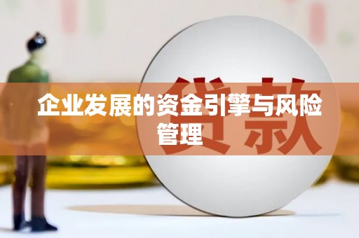 汝南企业发展的资金引擎与风险管理