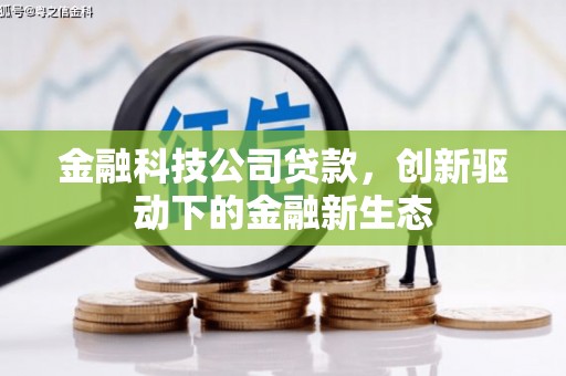 汝南金融科技公司贷款，创新驱动下的金融新生态