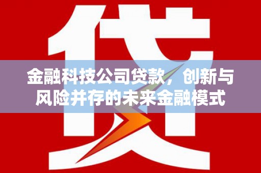 汝南金融科技公司贷款，创新与风险并存的未来金融模式