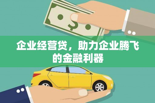 汝南企业经营贷，助力企业腾飞的金融利器