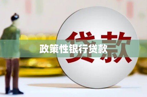 汝南政策性银行贷款