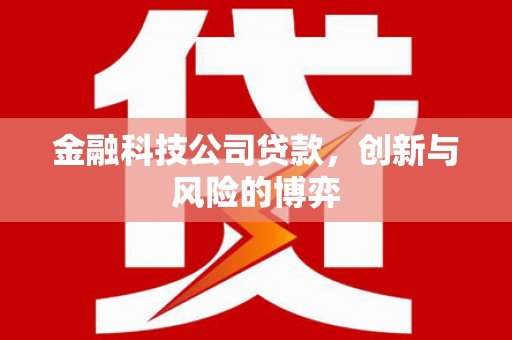 汝南金融科技公司贷款，创新与风险的博弈