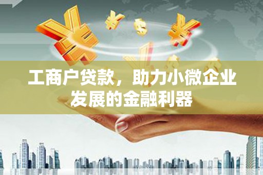 汝南工商户贷款，助力小微企业发展的金融利器