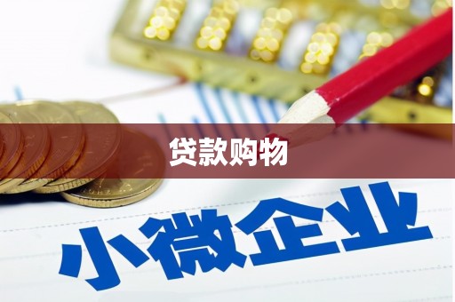 汝南贷款购物