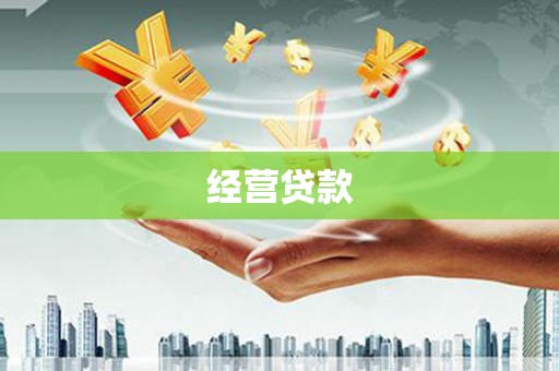 汝南经营贷款