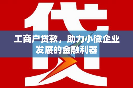 汝南工商户贷款，助力小微企业发展的金融利器