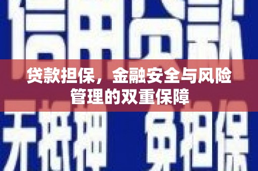 汝南贷款担保，金融安全与风险管理的双重保障