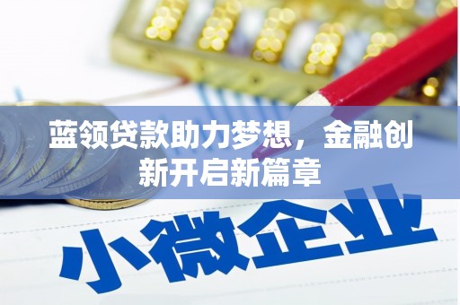 汝南蓝领贷款助力梦想，金融创新开启新篇章
