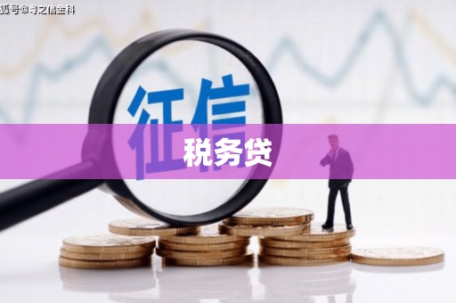 汝南税务贷
