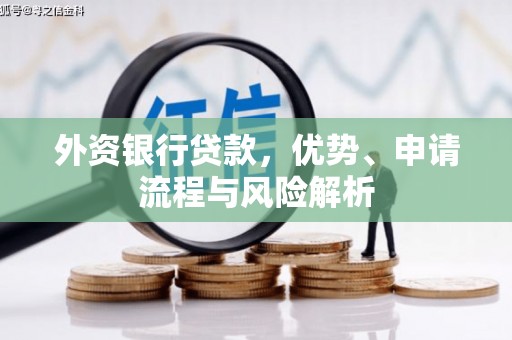 汝南外资银行贷款，优势、申请流程与风险解析