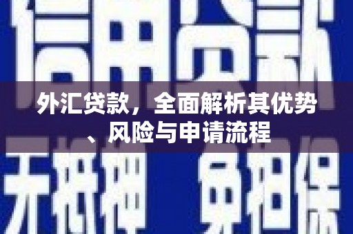 汝南外汇贷款，全面解析其优势、风险与申请流程