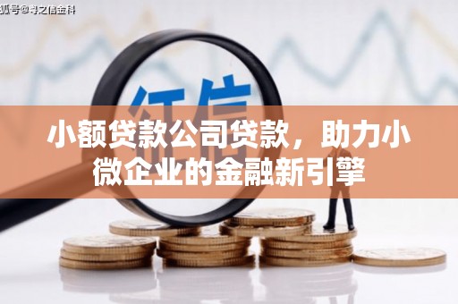 汝南小额贷款公司贷款，助力小微企业的金融新引擎
