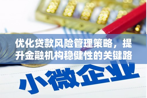 汝南优化贷款风险管理策略，提升金融机构稳健性的关键路径