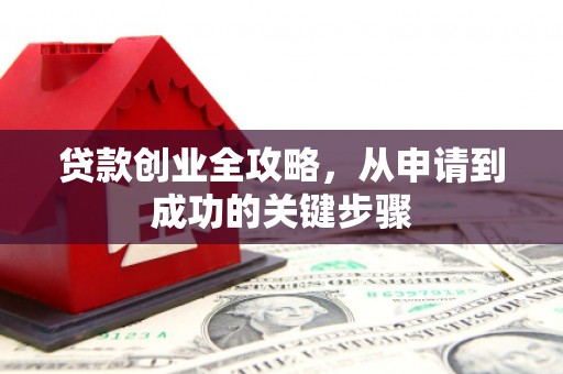 汝南贷款创业全攻略，从申请到成功的关键步骤