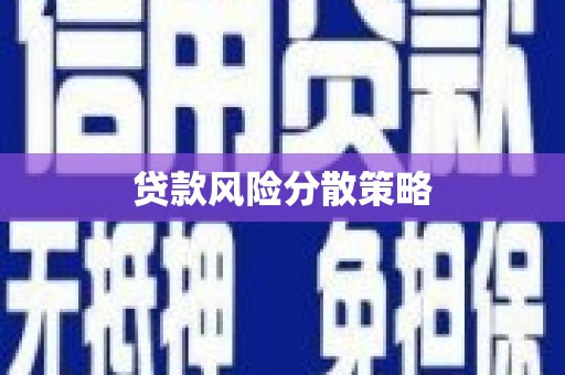 汝南贷款风险分散策略