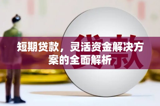 汝南短期贷款，灵活资金解决方案的全面解析