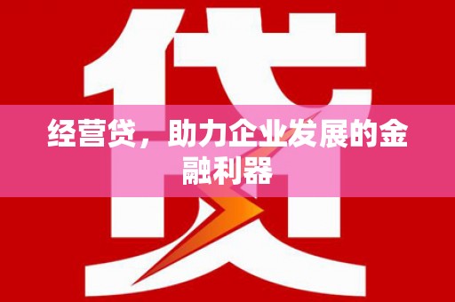 汝南经营贷，助力企业发展的金融利器