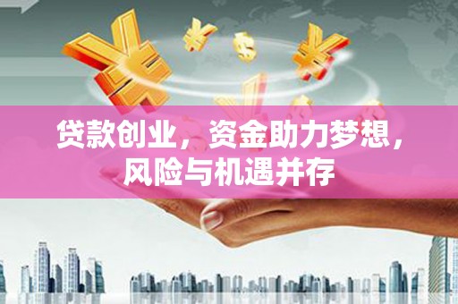汝南贷款创业，资金助力梦想，风险与机遇并存
