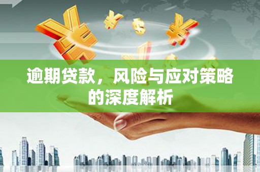汝南逾期贷款，风险与应对策略的深度解析