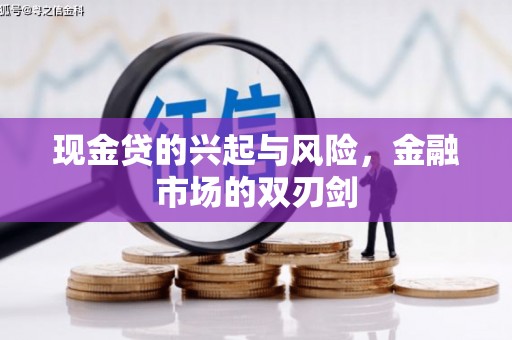 汝南现金贷的兴起与风险，金融市场的双刃剑