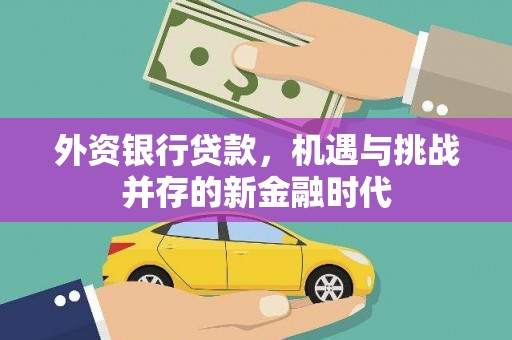 汝南外资银行贷款，机遇与挑战并存的新金融时代