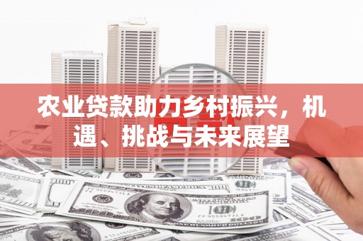 汝南农业贷款助力乡村振兴，机遇、挑战与未来展望