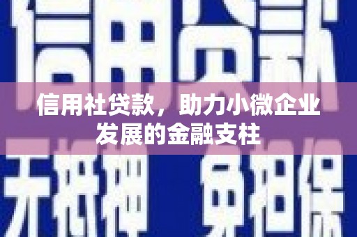 汝南信用社贷款，助力小微企业发展的金融支柱