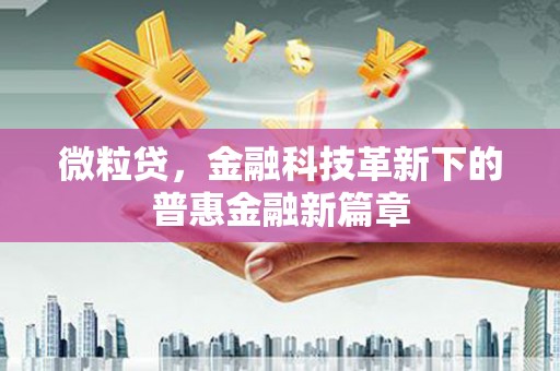 汝南微粒贷，金融科技革新下的普惠金融新篇章