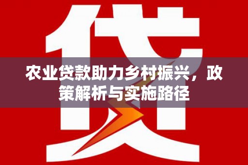 汝南农业贷款助力乡村振兴，政策解析与实施路径