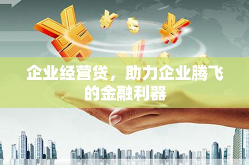 汝南企业经营贷，助力企业腾飞的金融利器