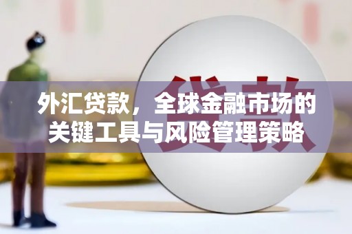 汝南外汇贷款，全球金融市场的关键工具与风险管理策略