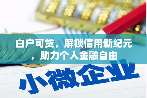 汝南白户可贷，解锁信用新纪元，助力个人金融自由