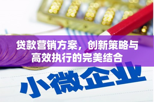 汝南贷款营销方案，创新策略与高效执行的完美结合