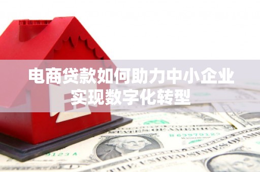 汝南电商贷款如何助力中小企业实现数字化转型