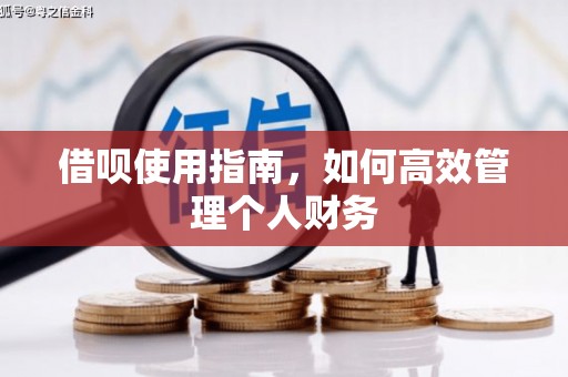 汝南借呗使用指南，如何高效管理个人财务