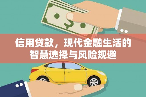 汝南信用贷款，现代金融生活的智慧选择与风险规避