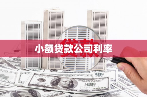 汝南小额贷款公司利率