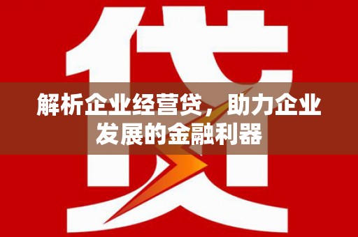 汝南解析企业经营贷，助力企业发展的金融利器