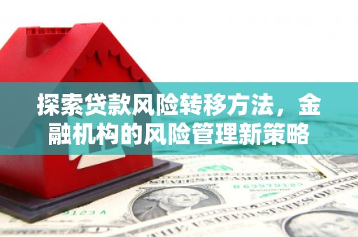 汝南探索贷款风险转移方法，金融机构的风险管理新策略