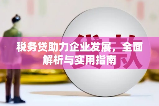 汝南税务贷助力企业发展，全面解析与实用指南