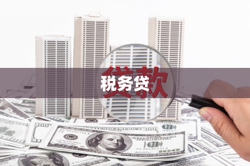 汝南税务贷