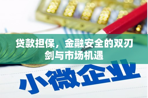 汝南贷款担保，金融安全的双刃剑与市场机遇
